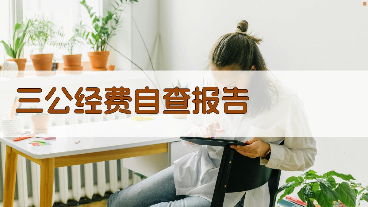 AI三公经费自查报告生成器