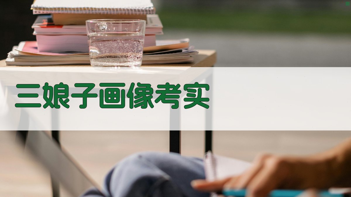 三娘子画像考实研究助手