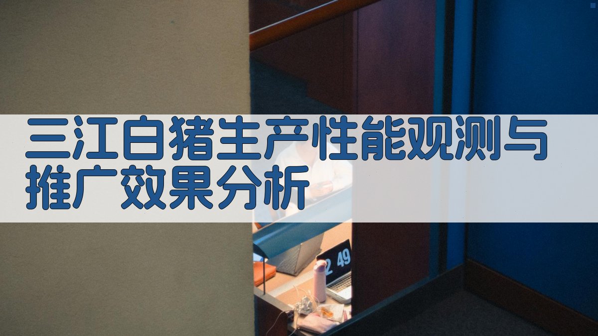 AI三江白猪生产性能观测与推广效果分析
