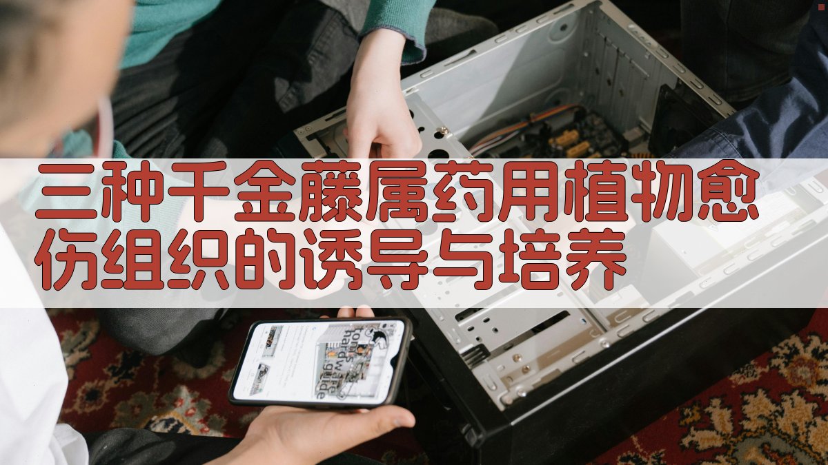 三种千金藤属药用植物愈伤组织的诱导与培养