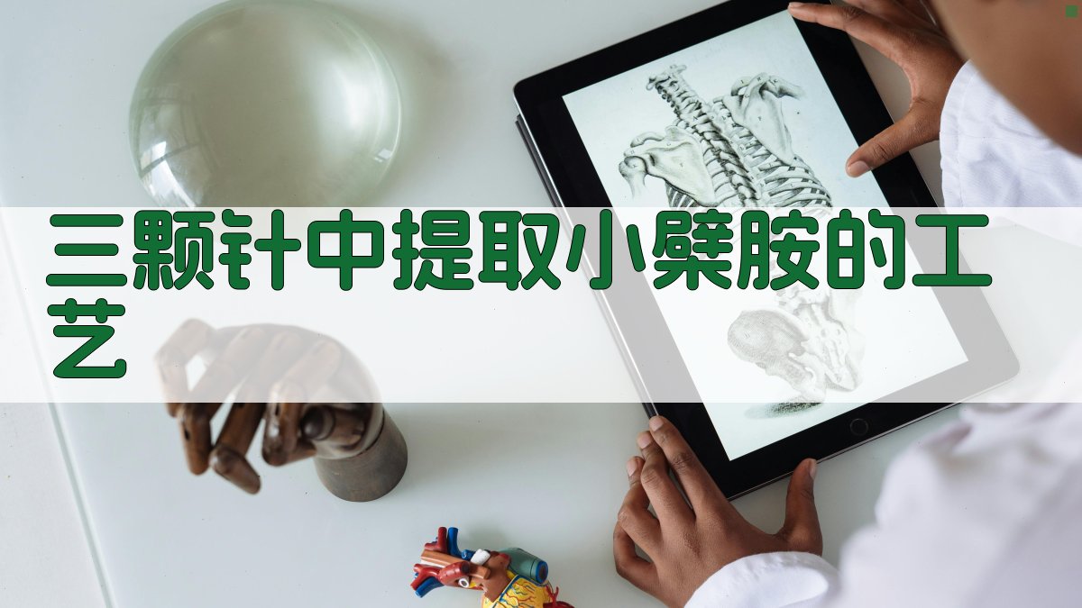 三颗针中提取小檗胺的工艺