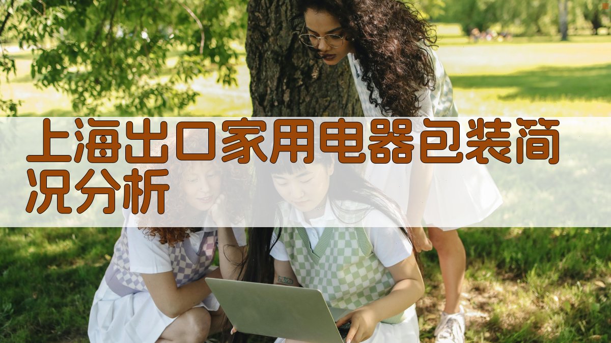 上海出口家用电器包装简况分析
