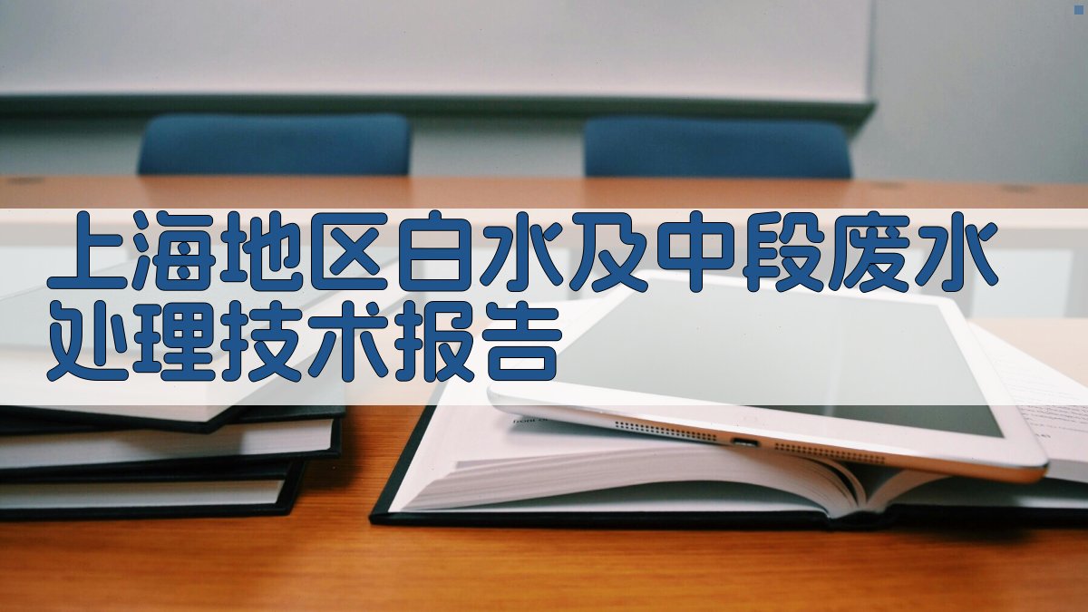 上海地区白水及中段废水处理技术报告