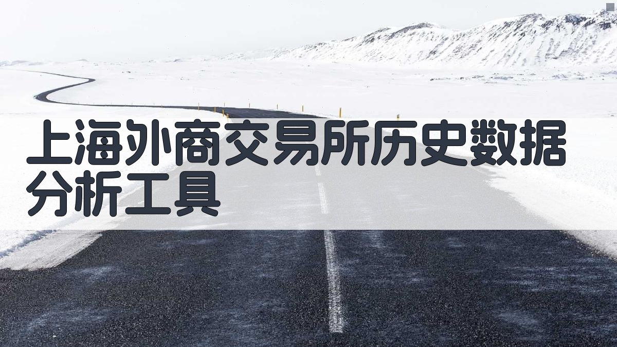 上海外商交易所历史数据分析工具