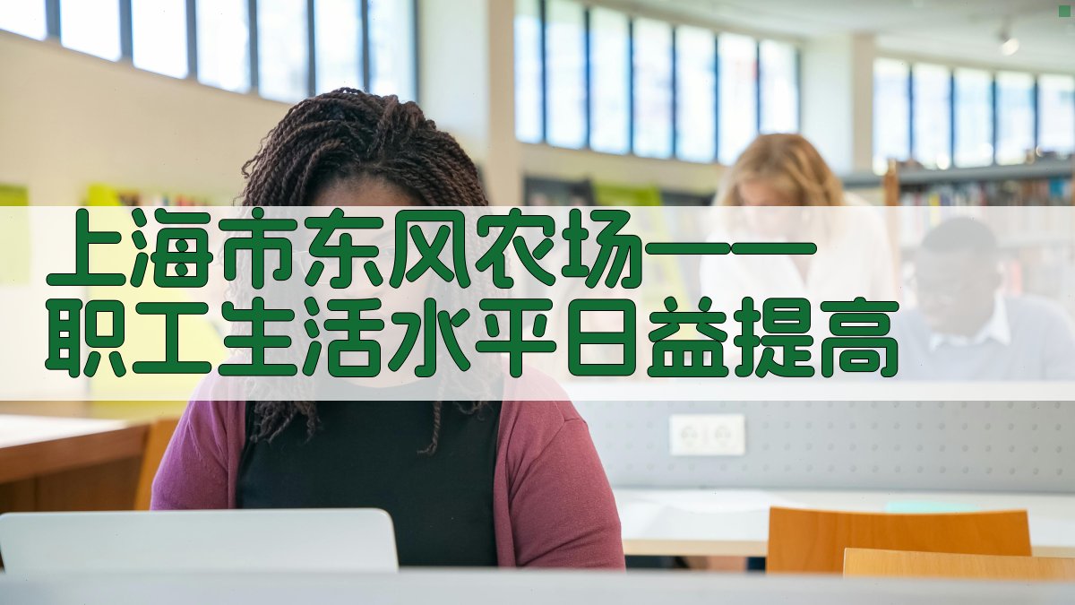 上海市东风农场生活发展报告