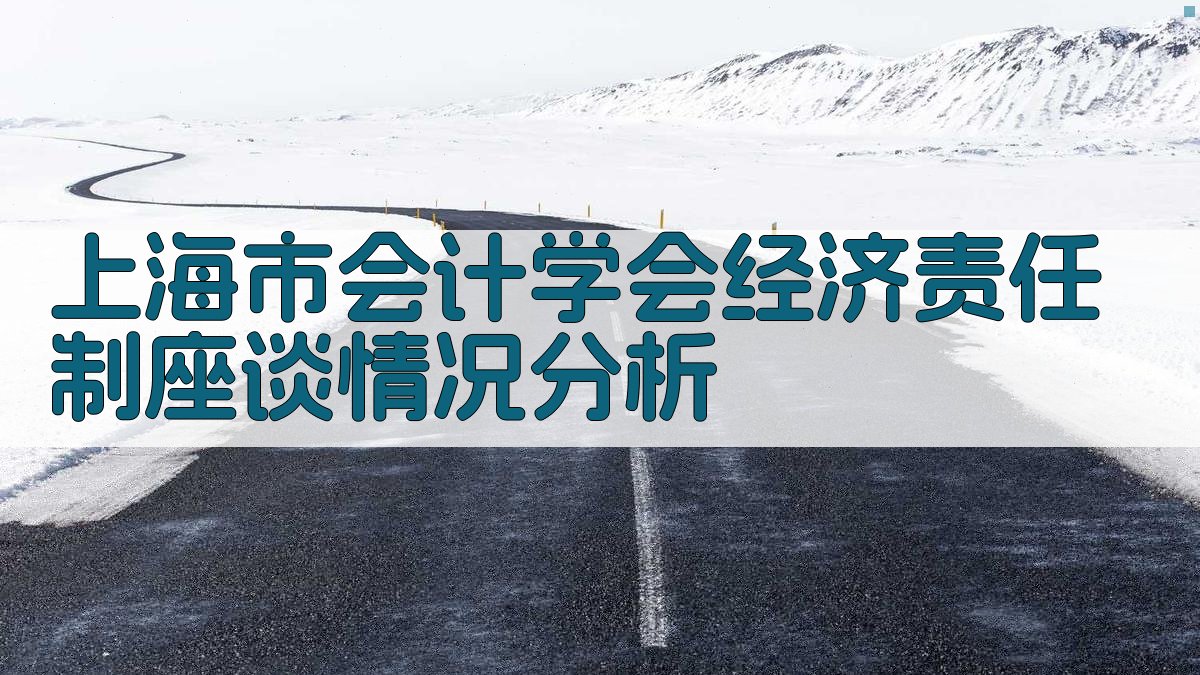 上海市会计学会经济责任制座谈情况分析