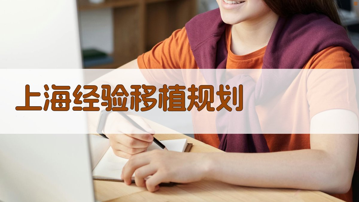 AI上海经验移植规划