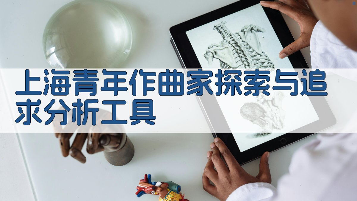 上海青年作曲家探索与追求分析工具