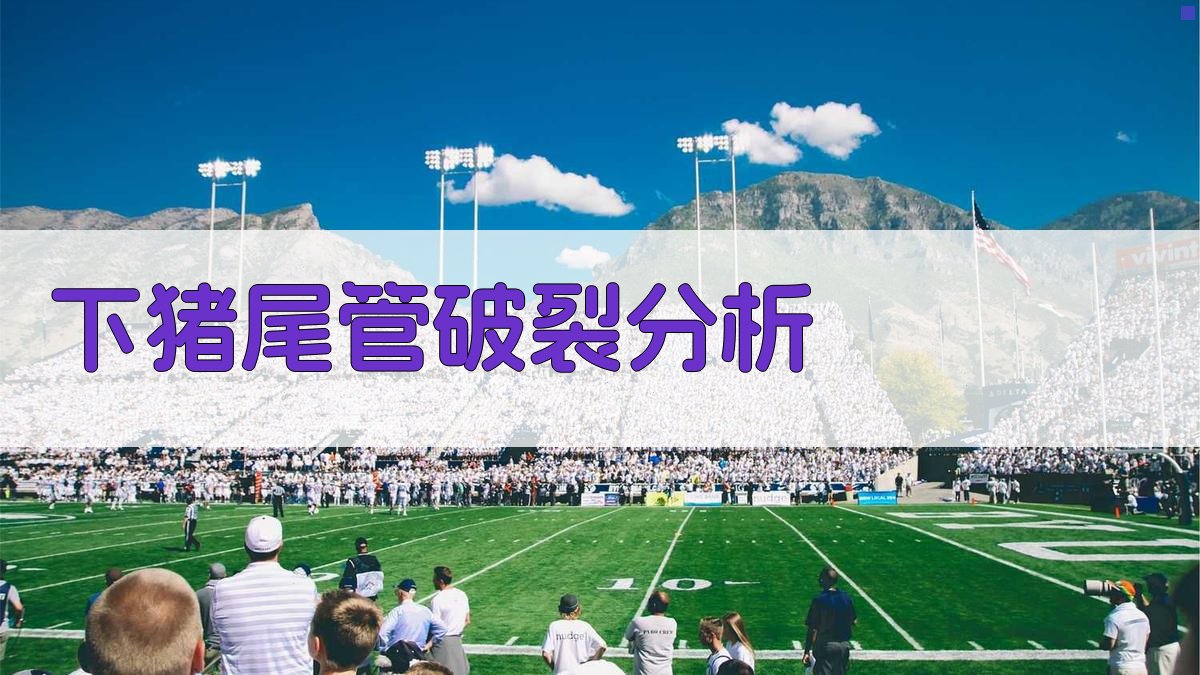 下猪尾管破裂分析