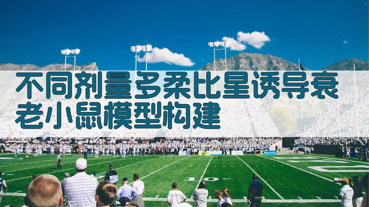 不同剂量多柔比星诱导衰老小鼠模型构建