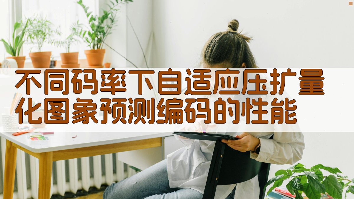 不同码率下自适应压扩量化图象预测编码的性能