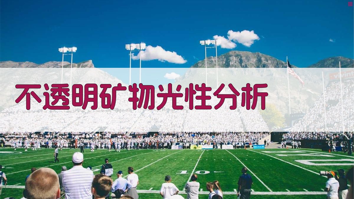 AI智能不透明矿物光性分析