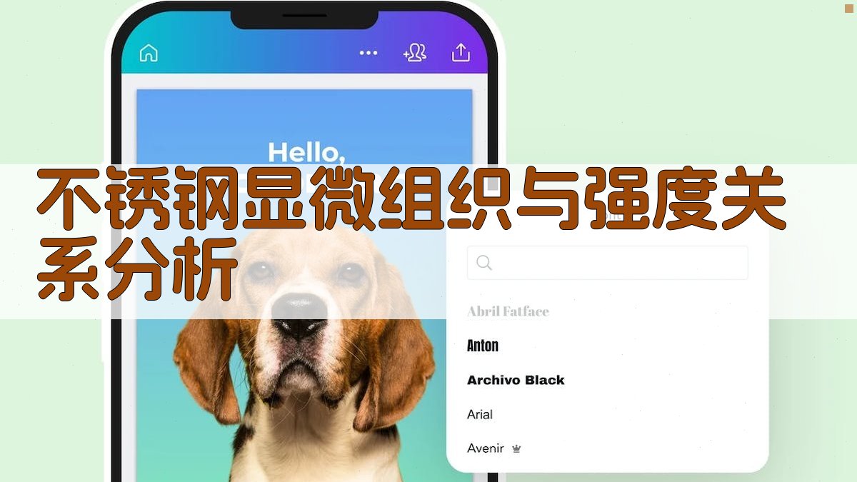 不锈钢显微组织与强度关系分析