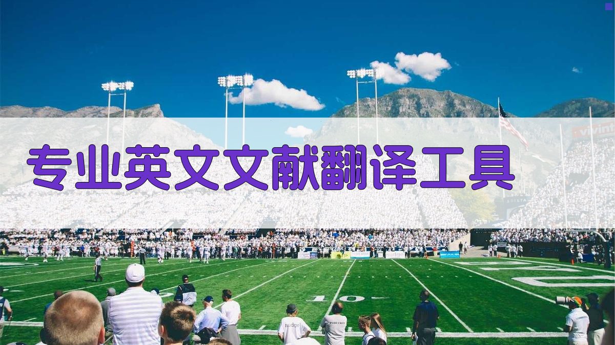 AI专业英文文献翻译工具