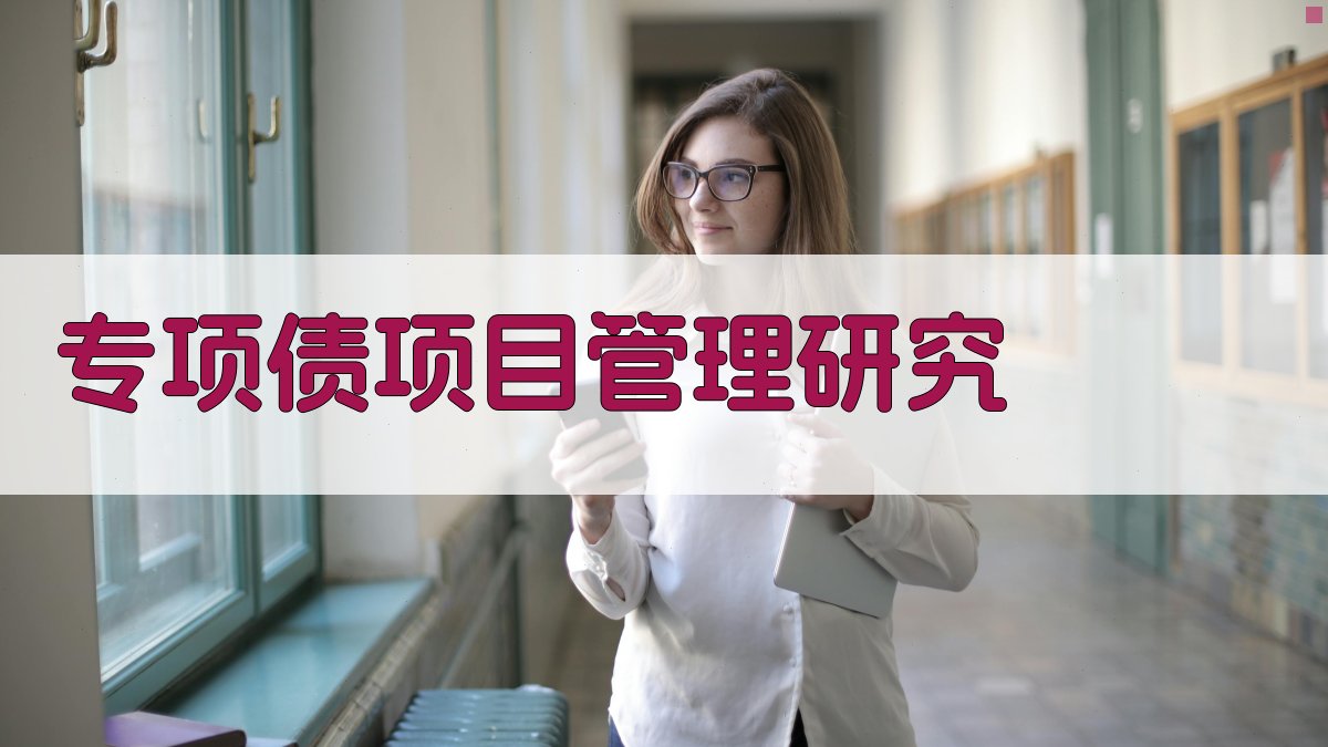 AI专项债项目管理研究