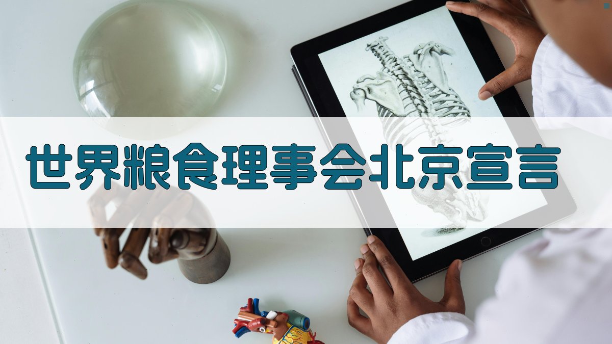 世界粮食理事会北京宣言生成器