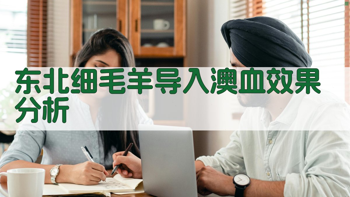 东北细毛羊导入澳血效果分析