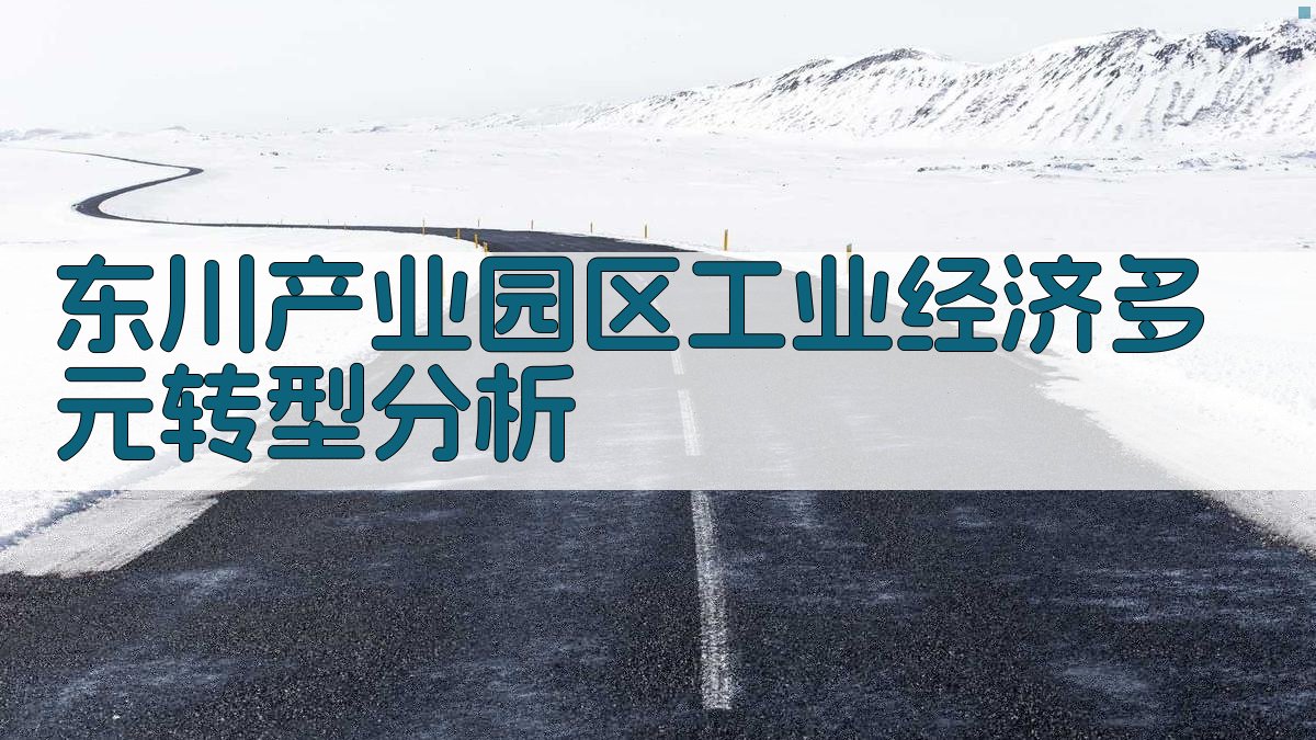 东川产业园区工业经济多元转型分析