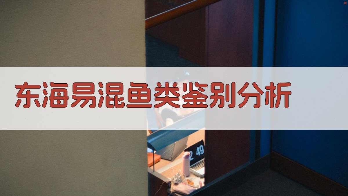 AI东海易混鱼类鉴别分析