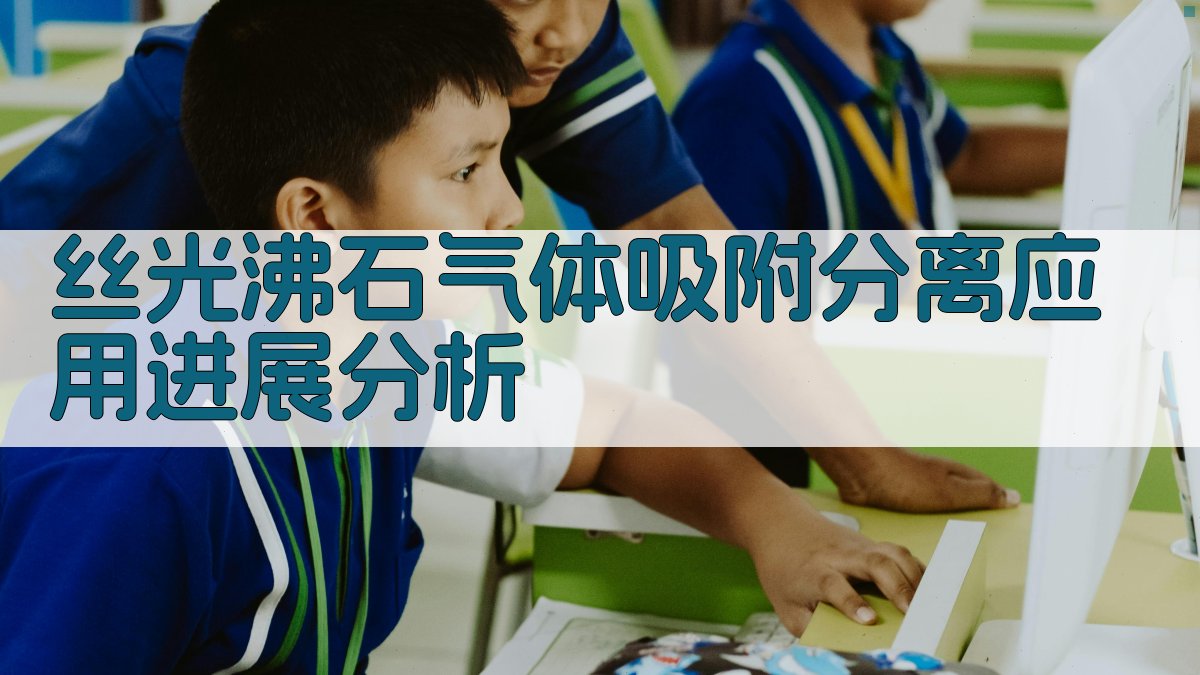 AI丝光沸石气体吸附分离应用进展分析