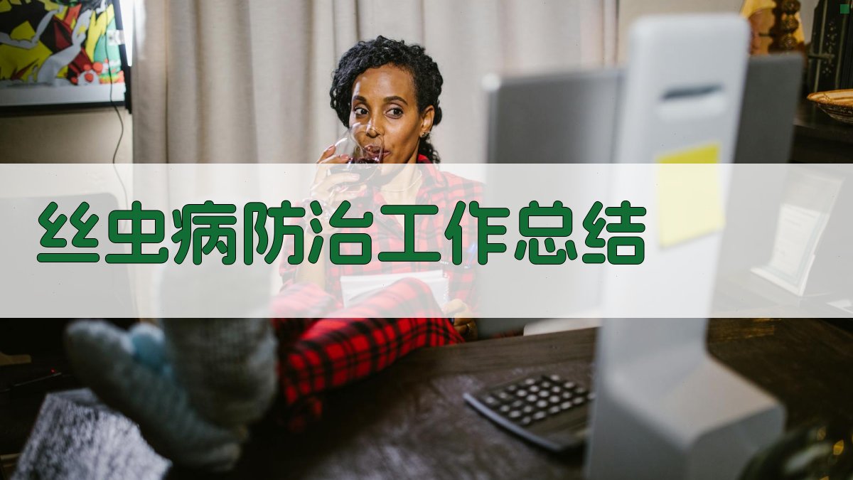 AI一键生成丝虫病防治工作总结