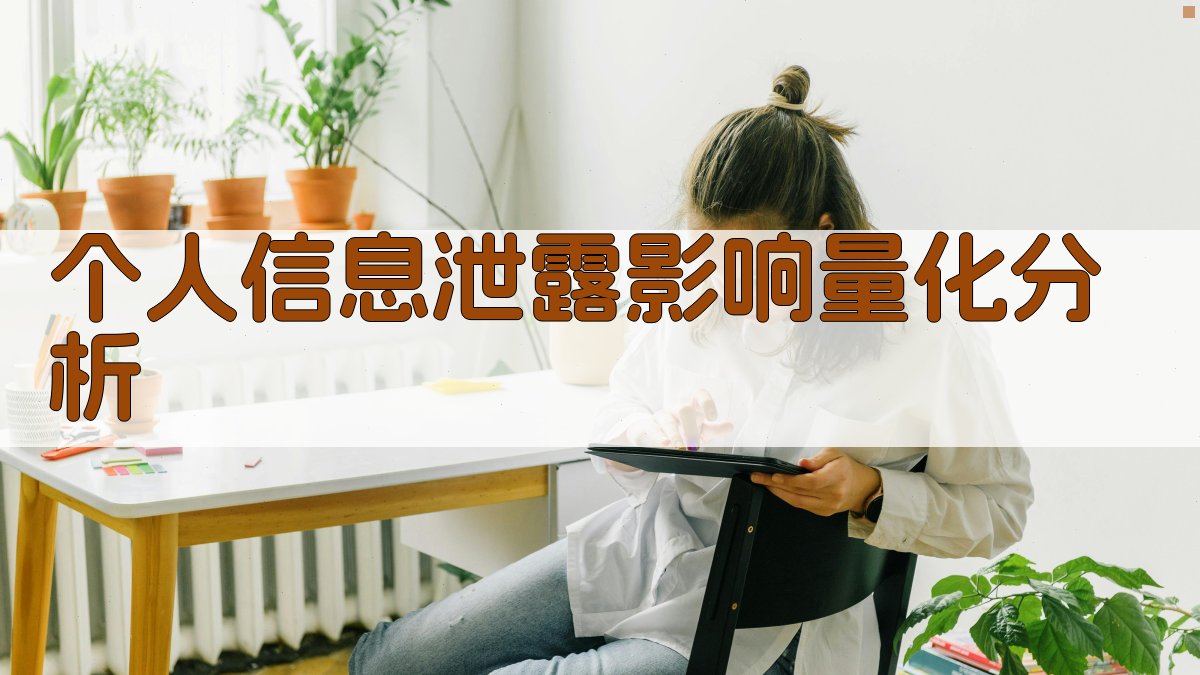 个人信息泄露影响量化分析