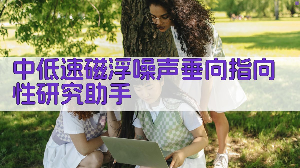 中低速磁浮噪声垂向指向性研究助手