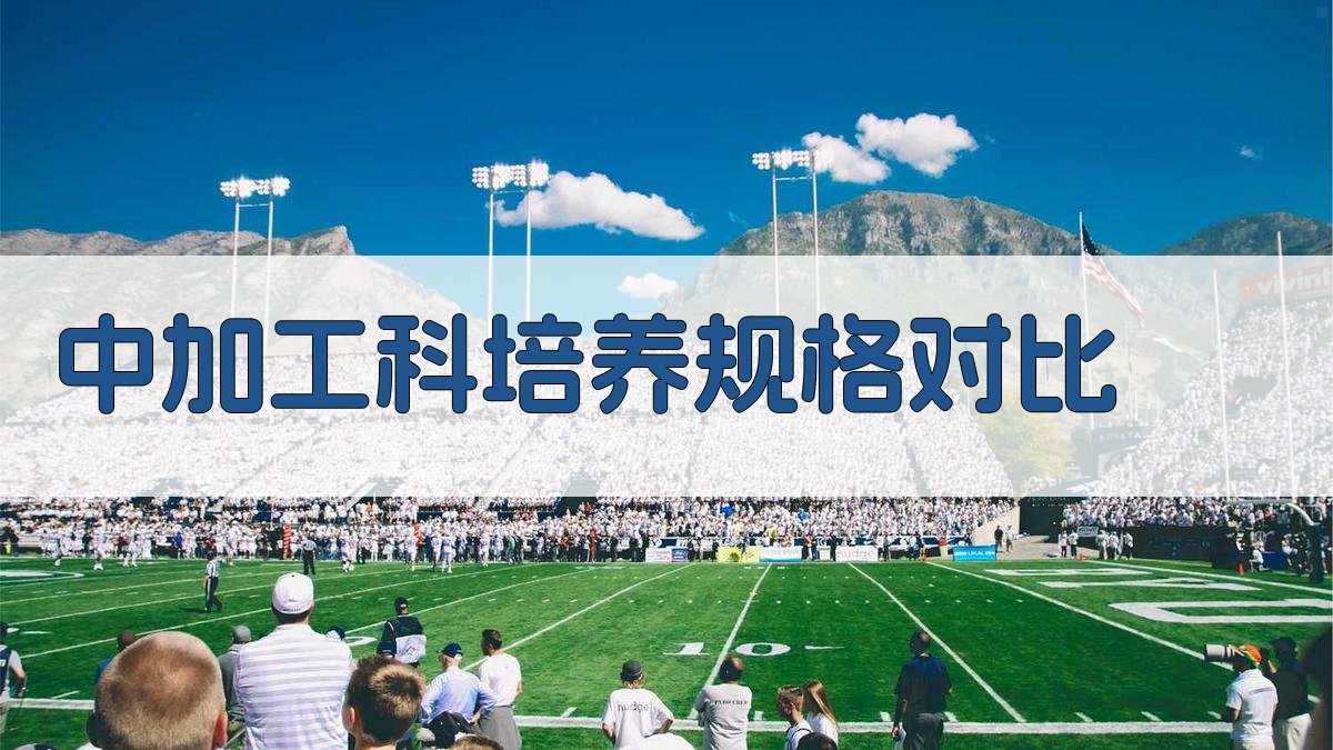 AI一键生成中加工科培养规格对比