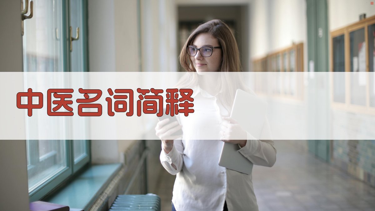 AI中医名词简释