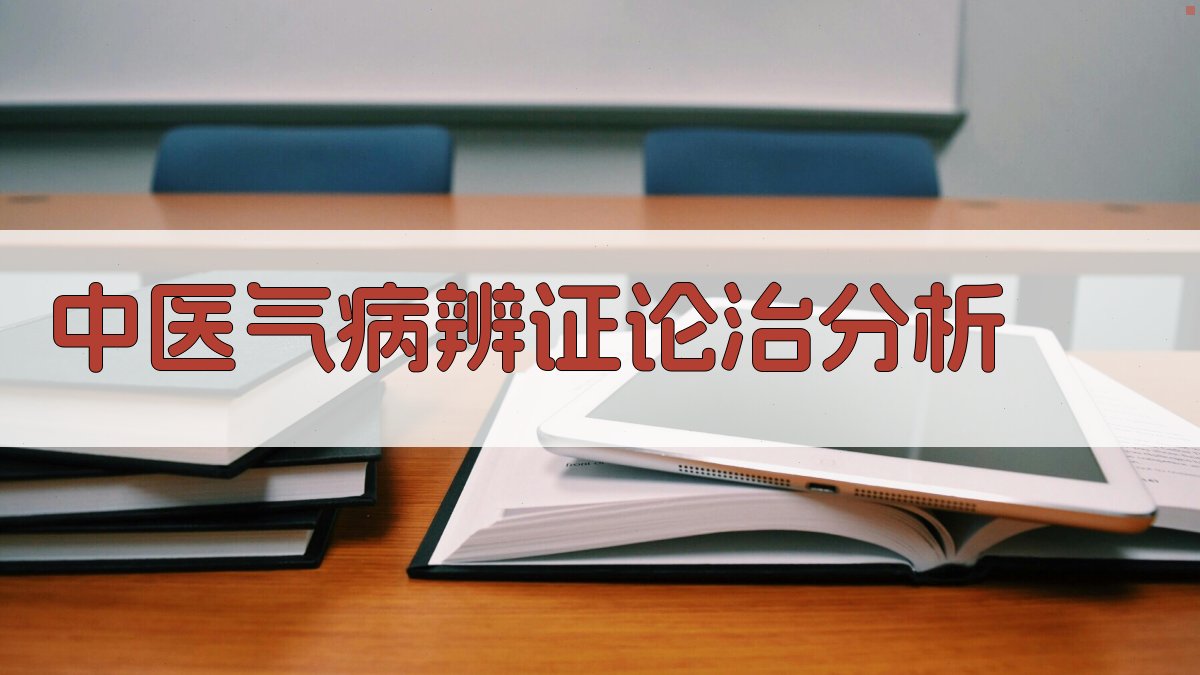 AI气病辨证论治