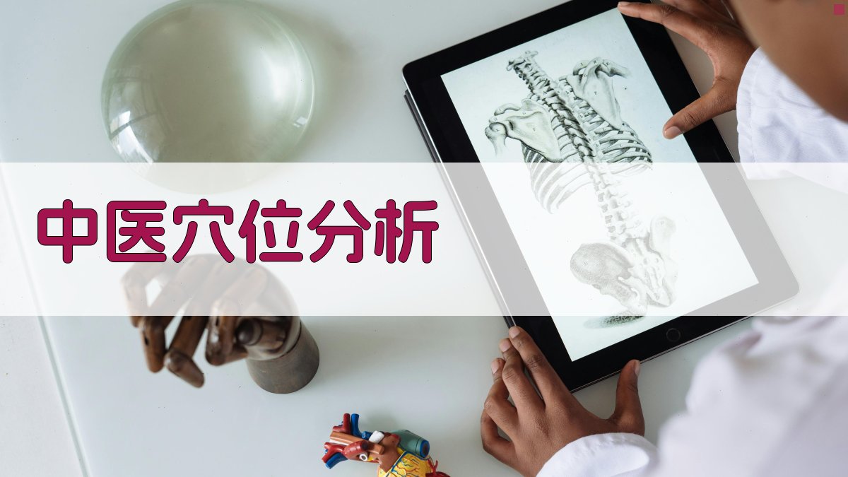 AI中医穴位分析