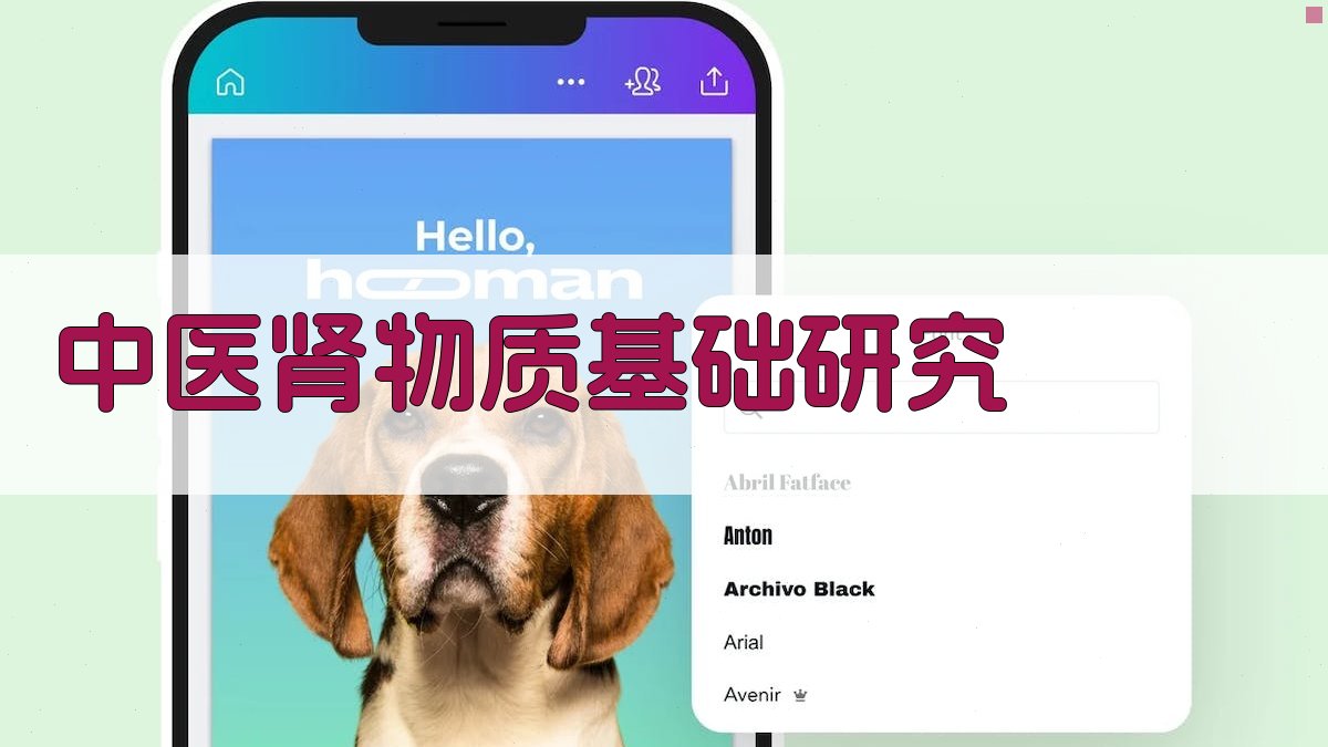 中医肾物质基础研究