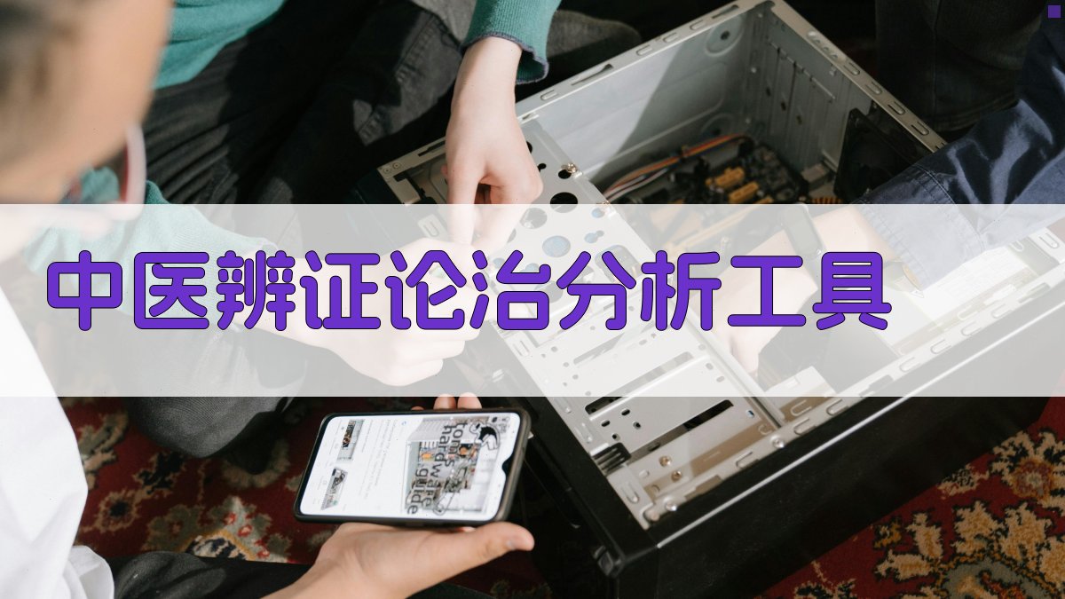 中医辨证论治分析工具