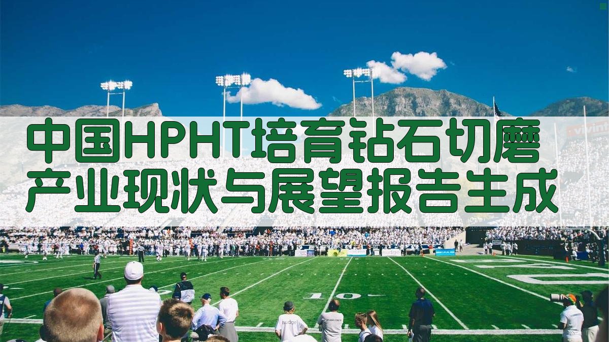 中国HPHT培育钻石切磨产业分析助手