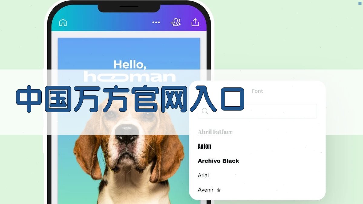 中国万方官网入口