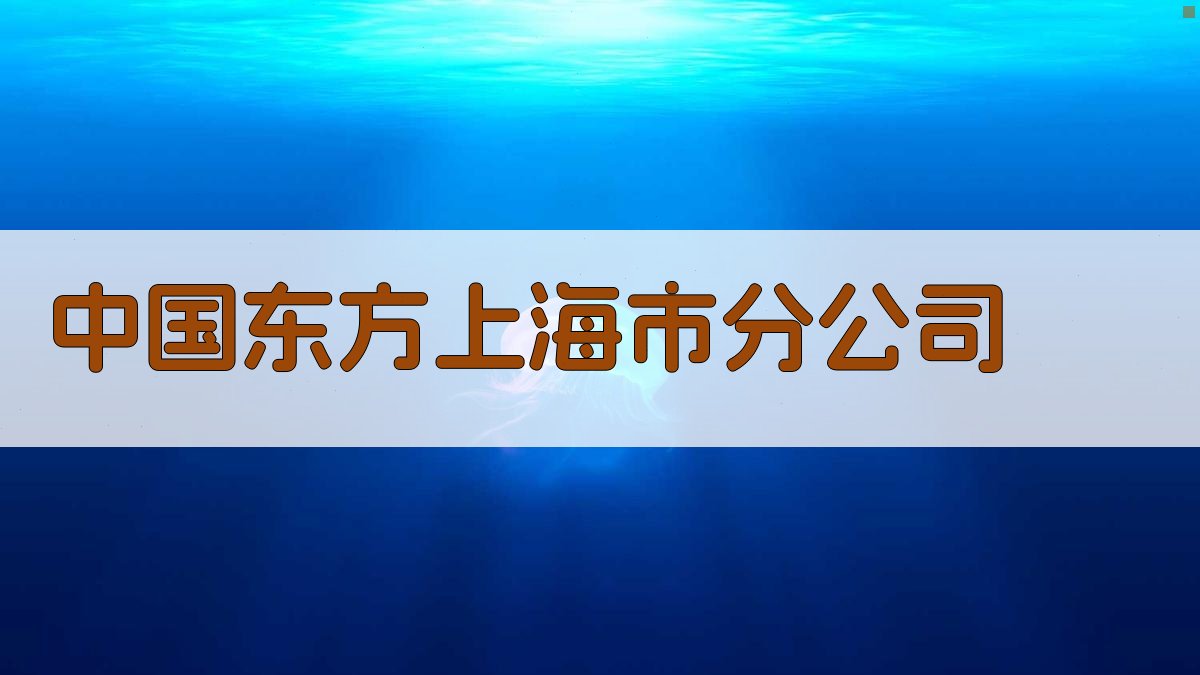 中国东方上海市分公司