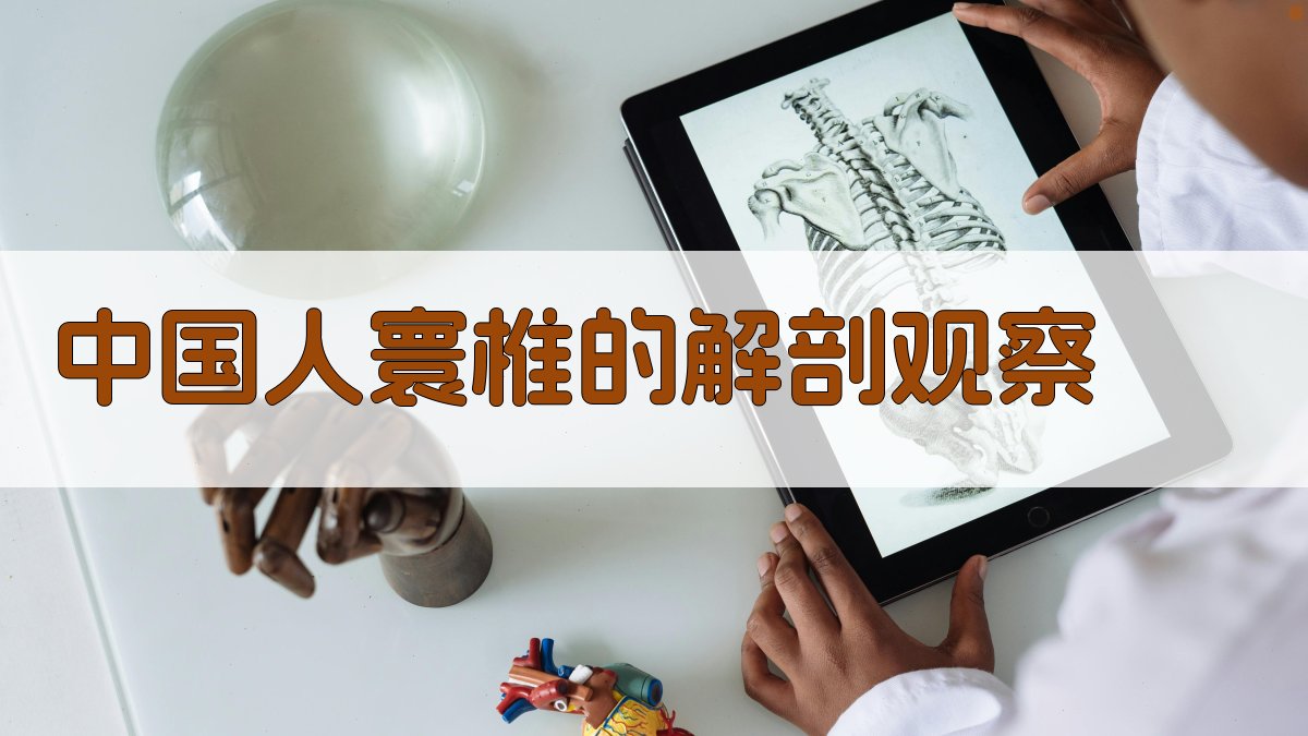 中国人寰椎的解剖观察