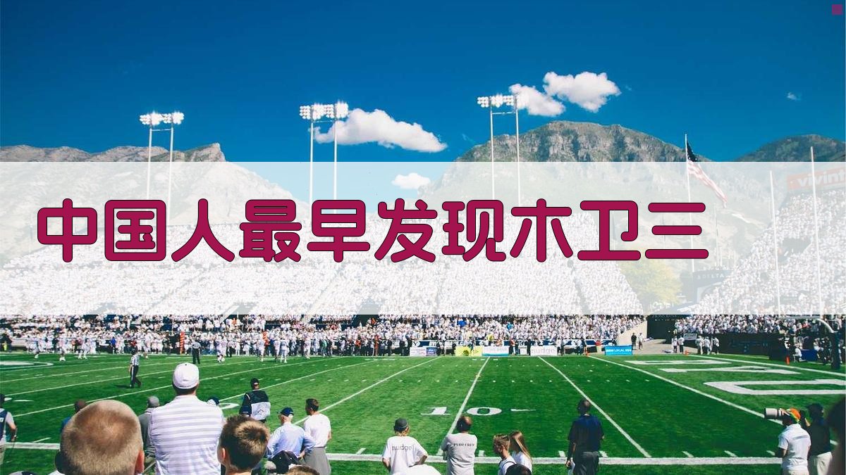 AI历史论证生成