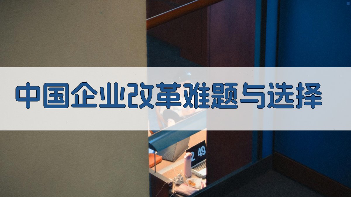 中国企业改革难题与选择分析