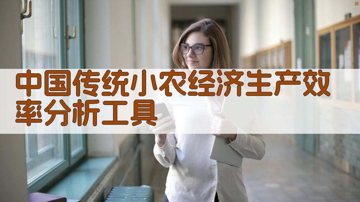 中国传统小农经济生产效率分析工具