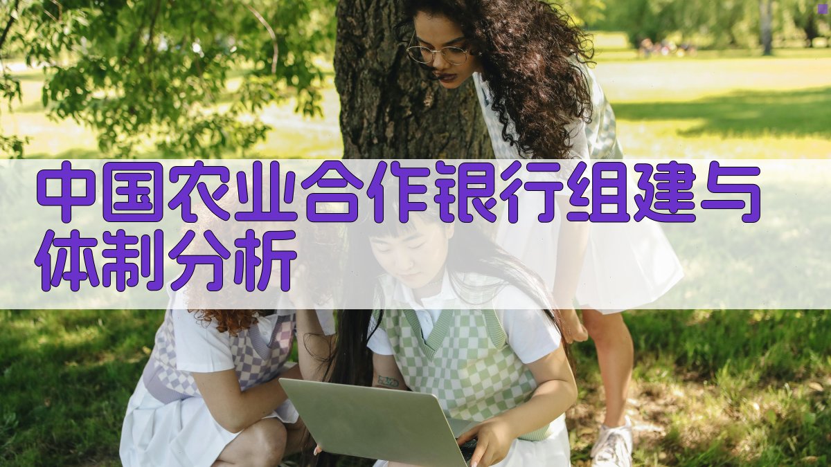 中国农业合作银行组建与体制分析