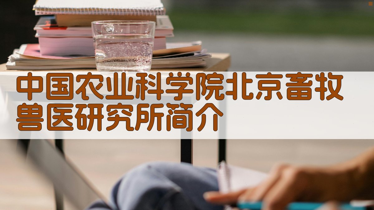 AI一键生成研究所简介