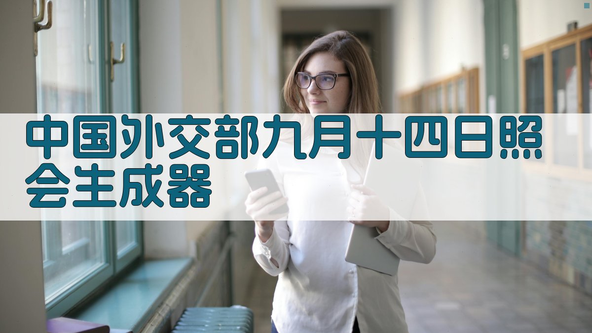 中国外交部九月十四日照会生成器
