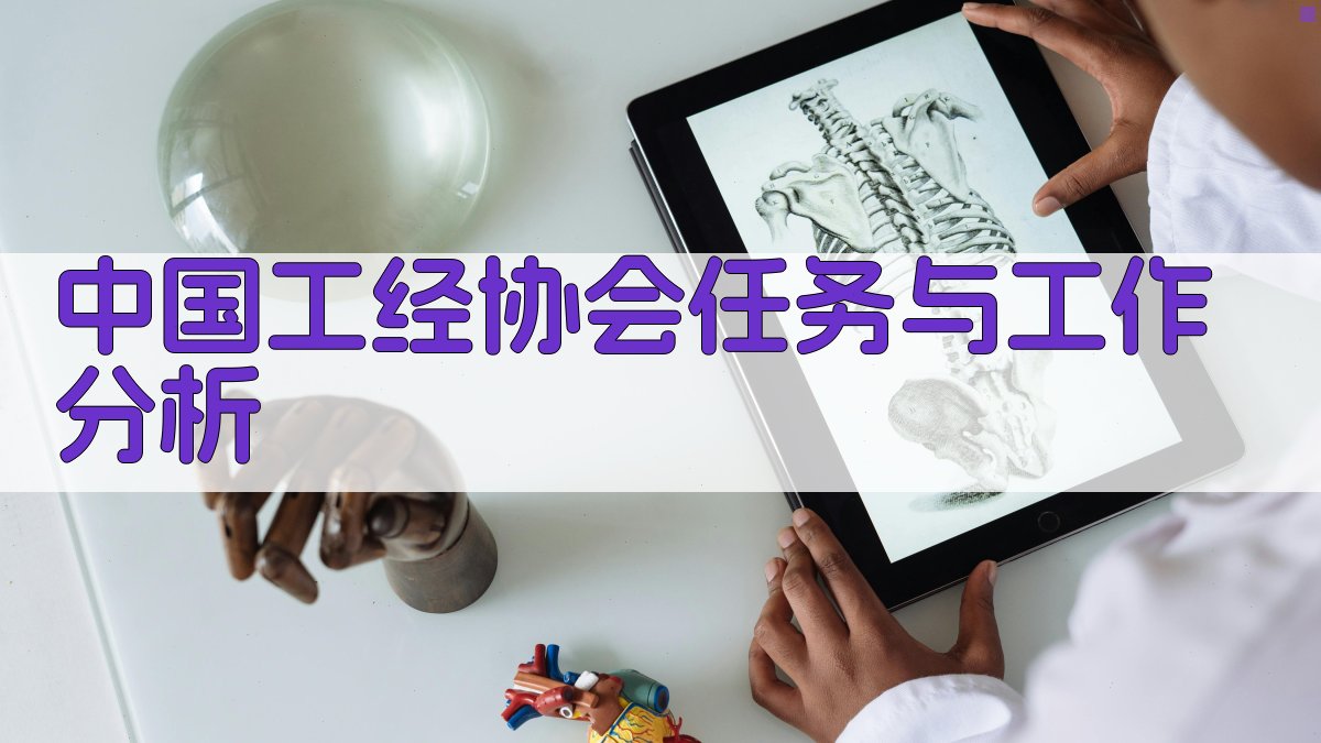 AI智能分析中国工经协会任务与工作