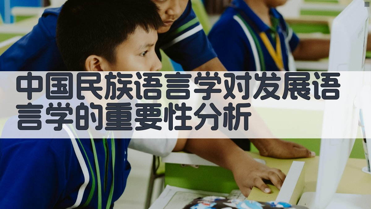 中国民族语言学对发展语言学的重要性分析