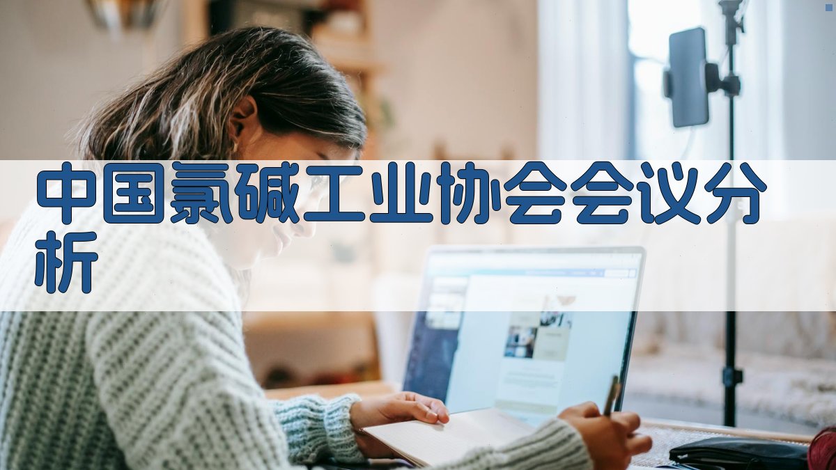 中国氯碱工业协会会议分析