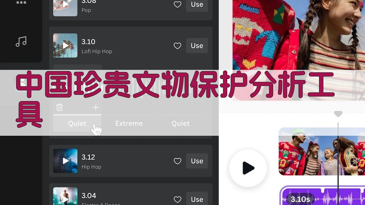 中国珍贵文物保护分析工具