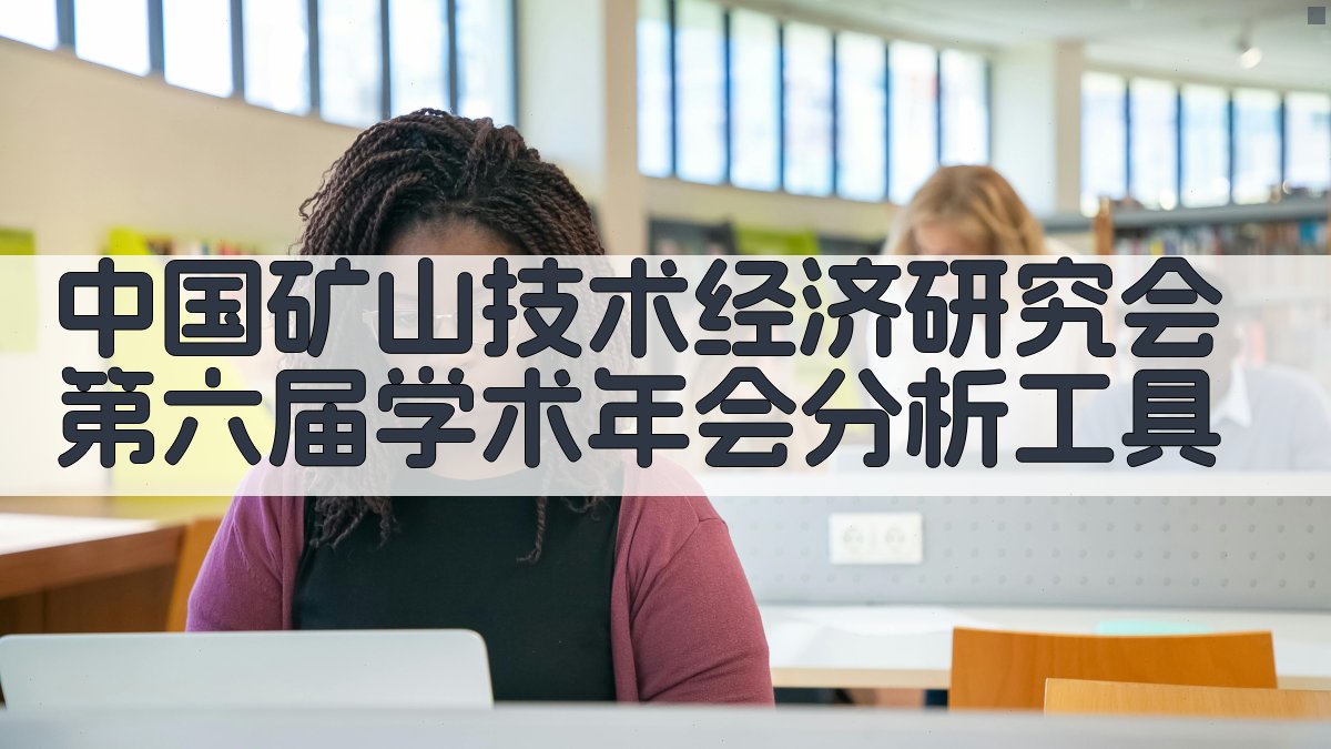 中国矿山技术经济研究会第六届学术年会分析工具