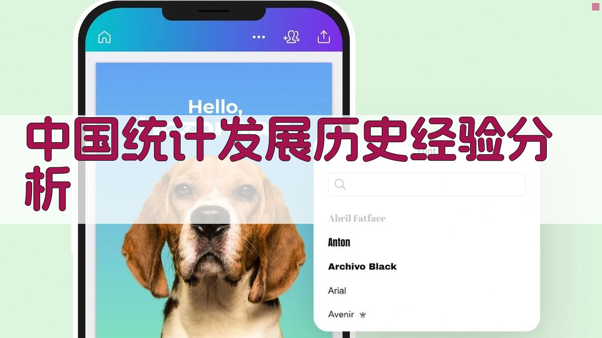 中国统计发展历史经验分析