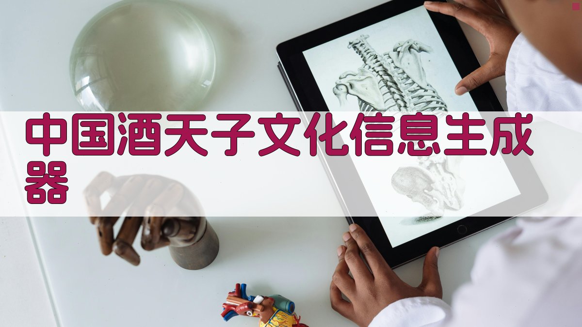 中国酒天子文化信息生成器